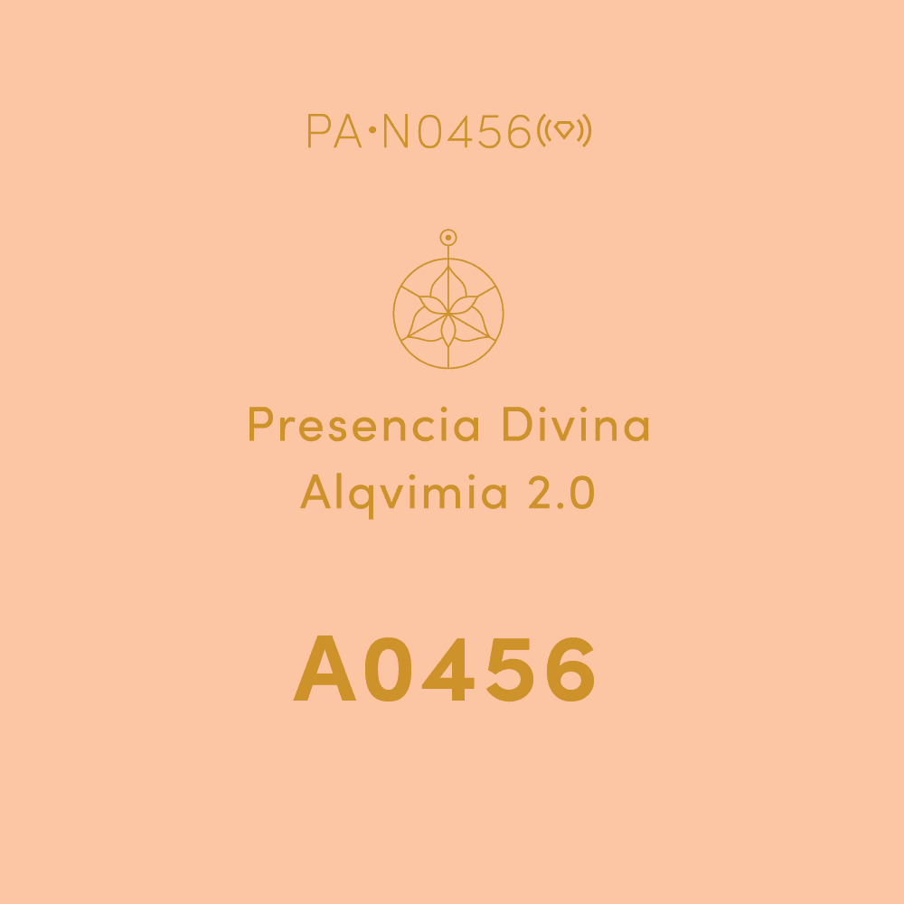 A0456